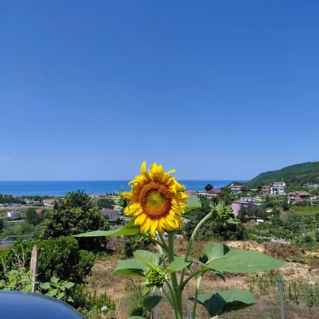 Lägenhet Sol Gjiri Lalzi Durrës